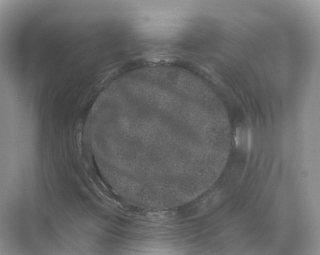 X0000070171396200606162044