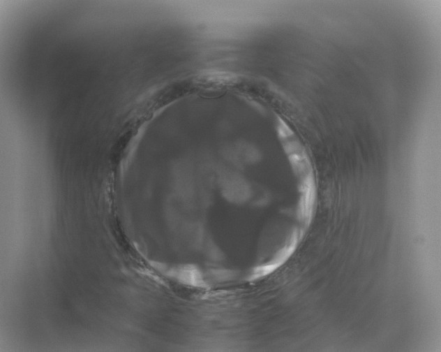 X0000070171397200606162044