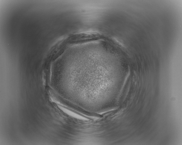 X0000070171398200606162044