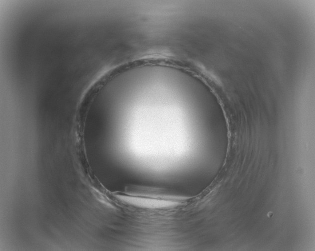 X0000070171400200606162044