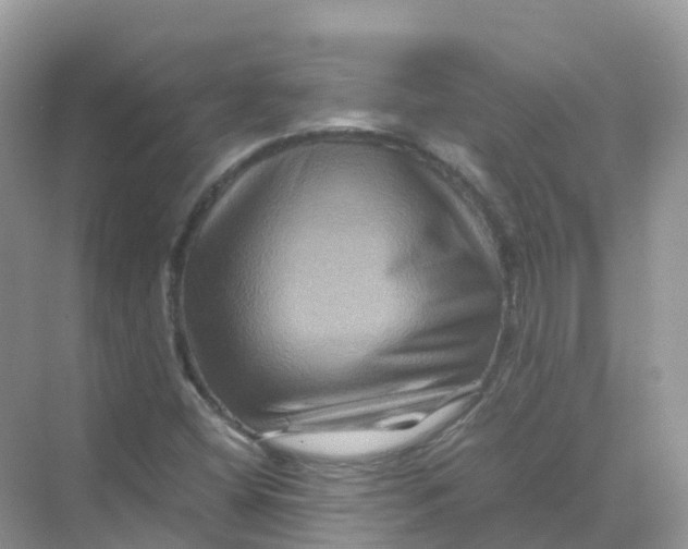 X0000070171404200606162044