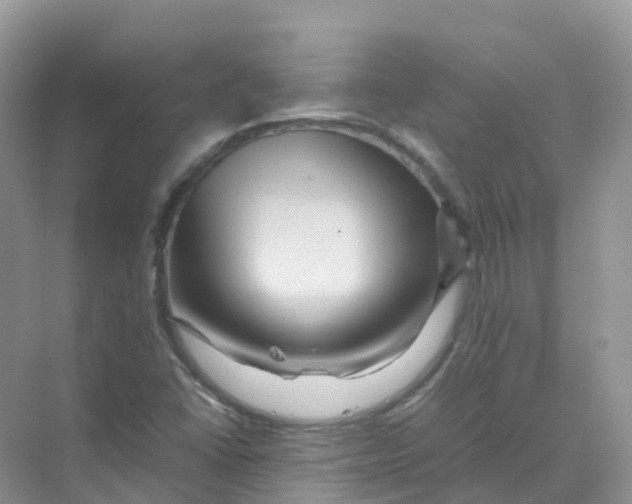 X0000070171406200606162044