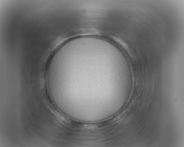 X0000070171407200606162044