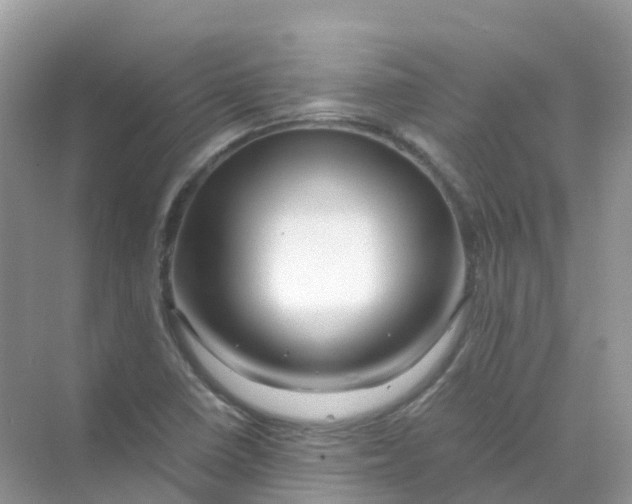 X0000070171410200606162044