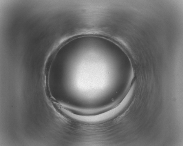 X0000070171414200606162044