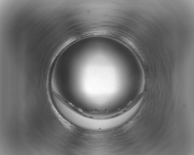 X0000070171426200606162044