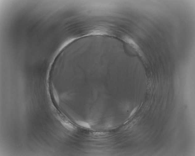 X0000070171427200606162044