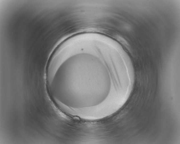 X0000070171428200606162044