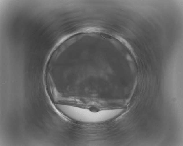 X0000070171429200606162044