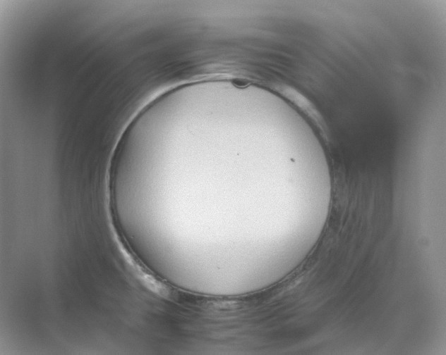 X0000070171431200606162044