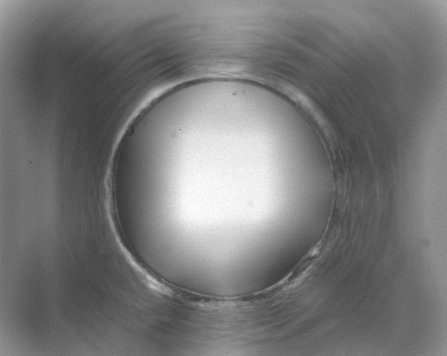 X0000070171432200606162044