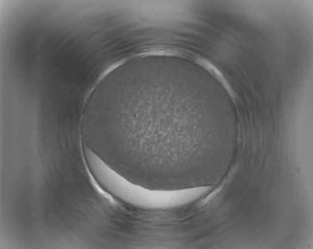 X0000070171433200606162044