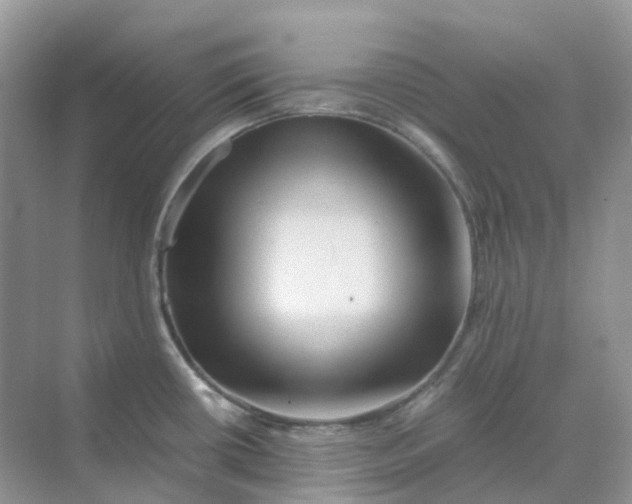 X0000070171434200606162044