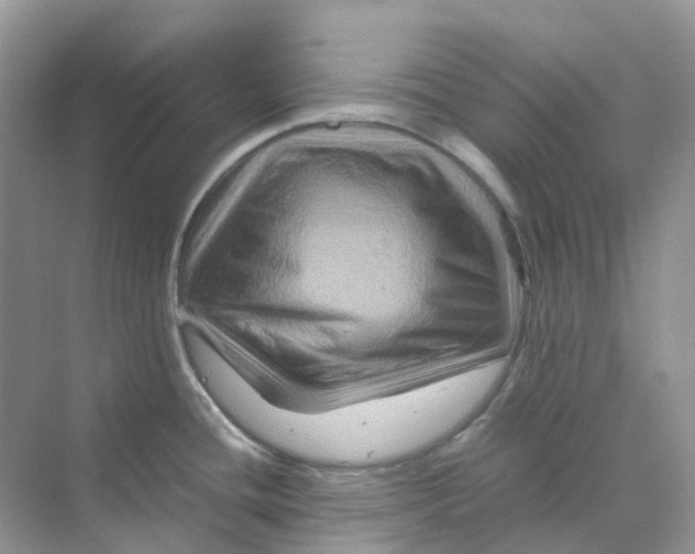 X0000070171436200606162044