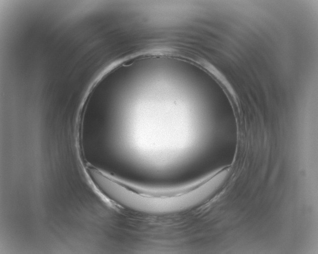 X0000070171437200606162044