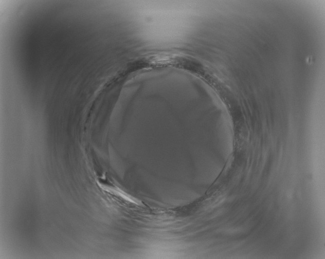 X0000070171441200606162044