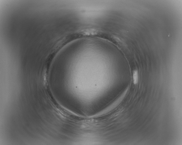 X0000070171444200606162044