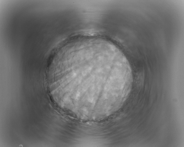 X0000070171446200606162044