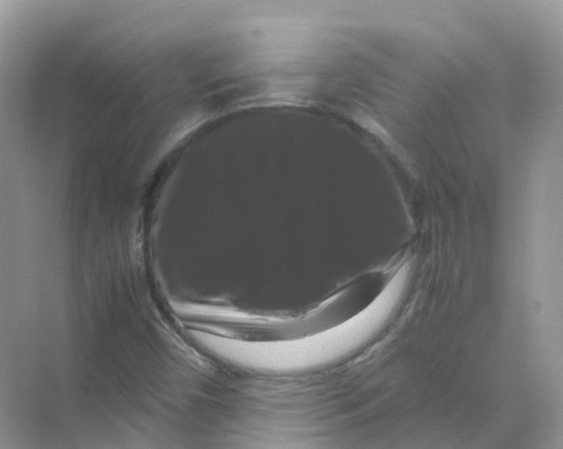 X0000070171450200606162043