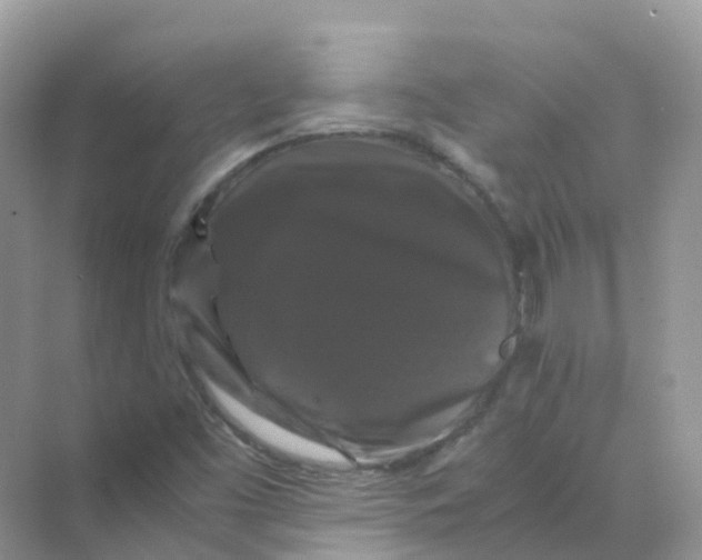 X0000070171453200606162043
