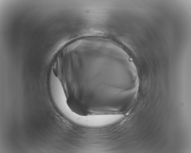 X0000070171455200606162043
