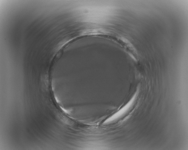 X0000070171457200606162043