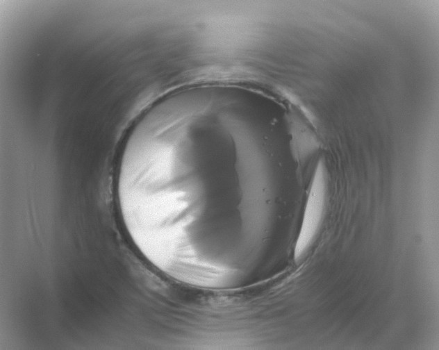 X0000070171459200606162043