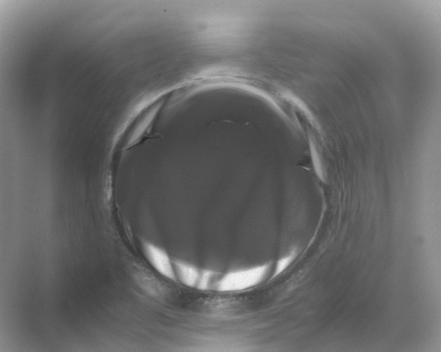 X0000070171461200606162043