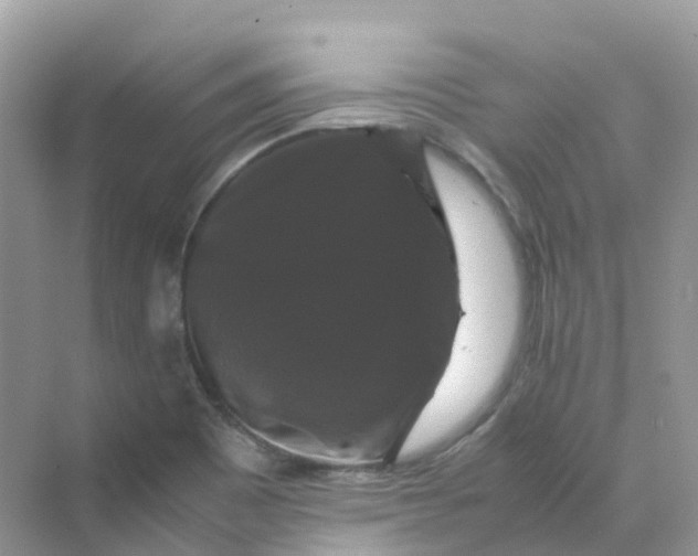 X0000070171465200606162043