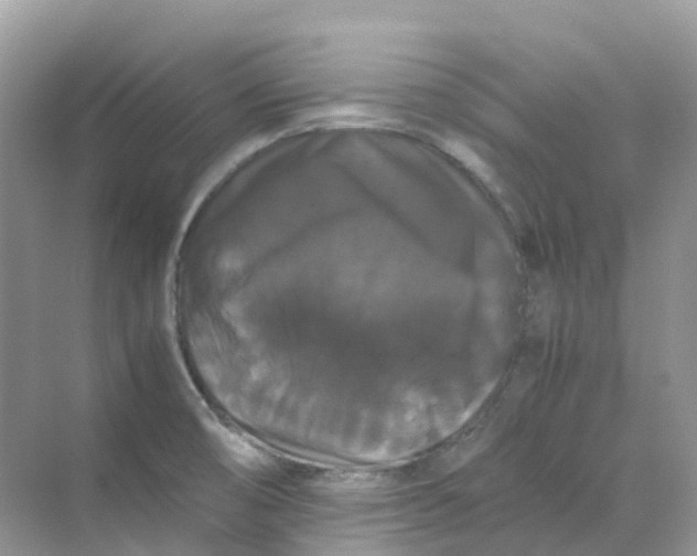 X0000070171474200606162043