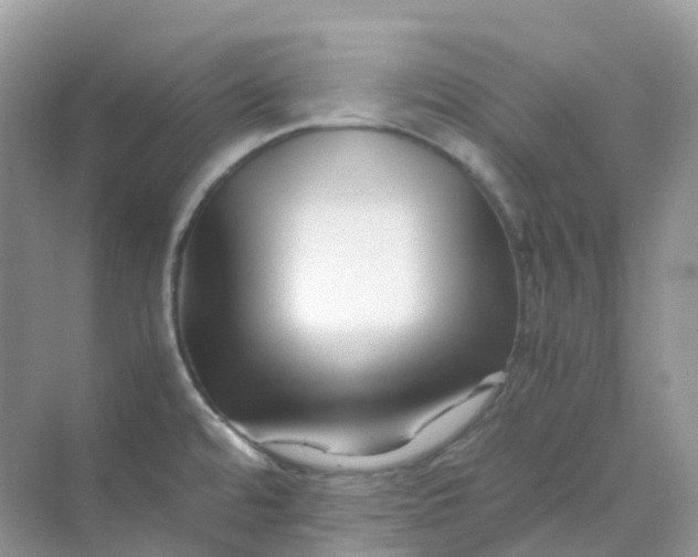 X0000070171480200606162043