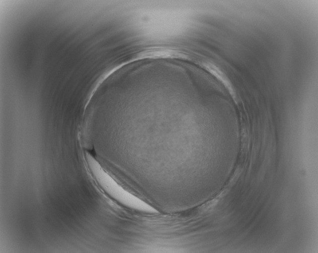 X0000070171481200606162043