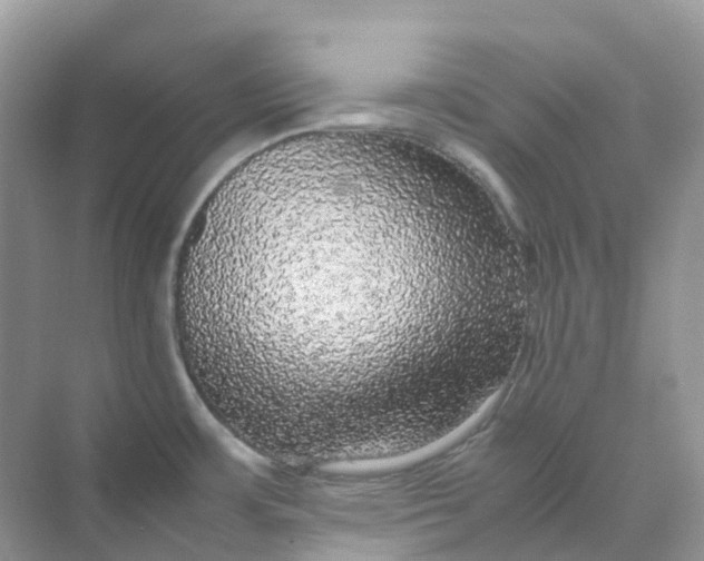 X0000070171483200606162043