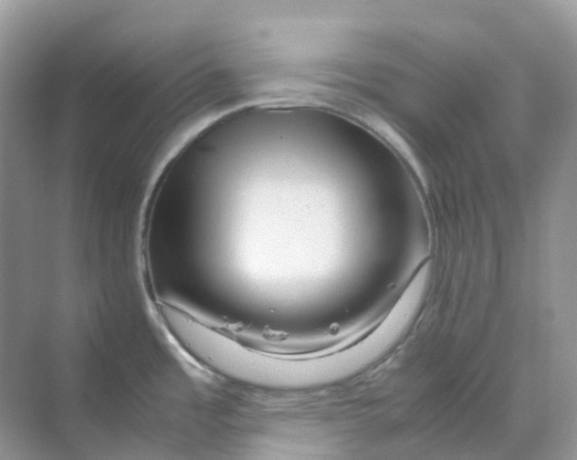 X0000070171485200606162043