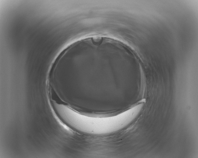 X0000070171519200606162043