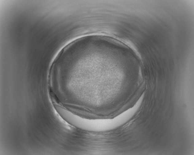 X0000070171532200606162043