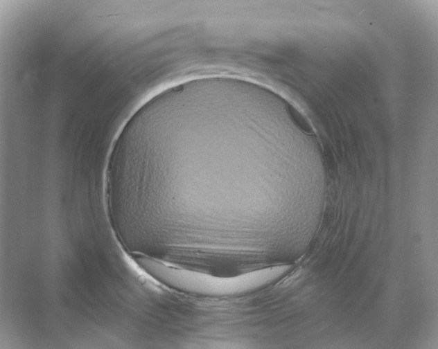X0000070171535200606162043