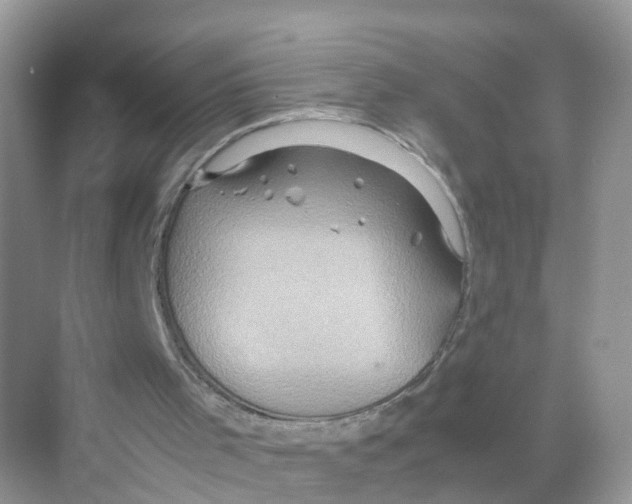 X0000070170001200606231933