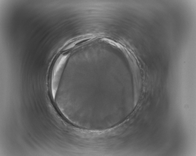 X0000070170002200606231933