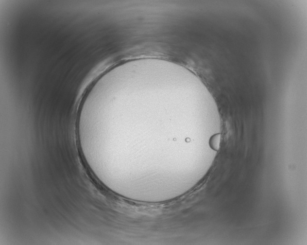 X0000070170004200606231933