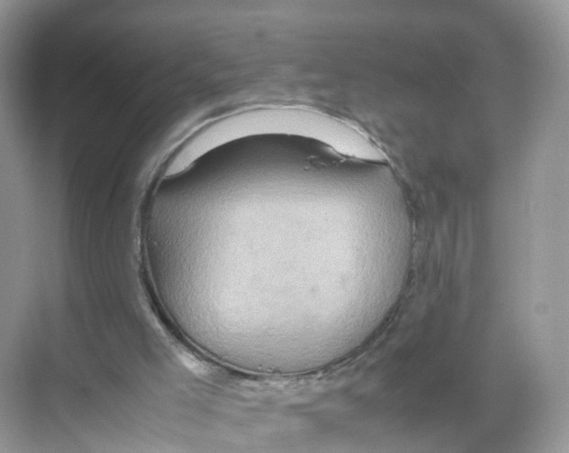 X0000070170005200606231933