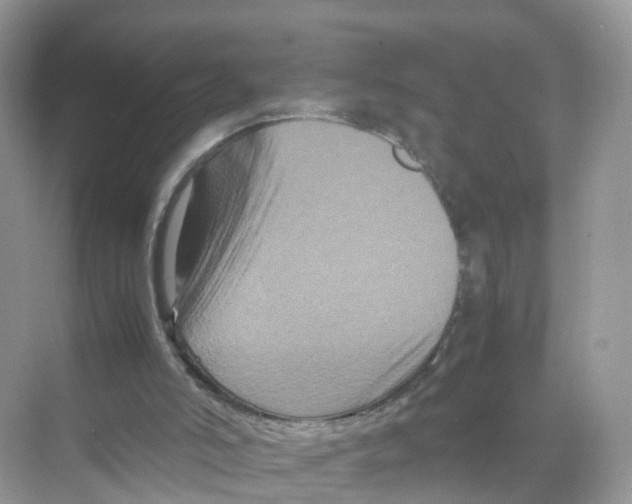 X0000070170006200606231933