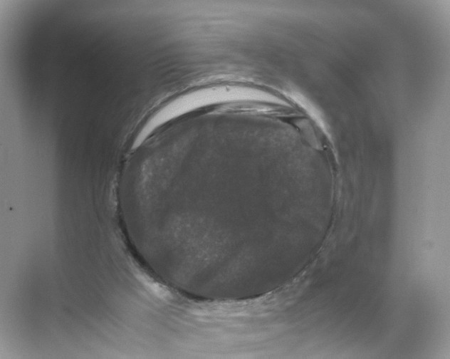 X0000070170009200606231933