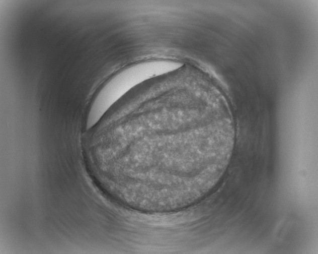 X0000070170010200606231933