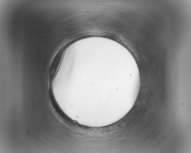 X0000070170011200606231933