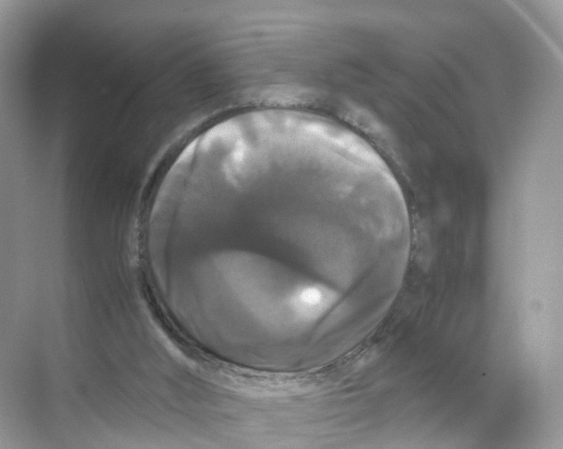 X0000070170012200606231933