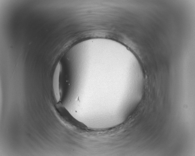 X0000070170013200606231933