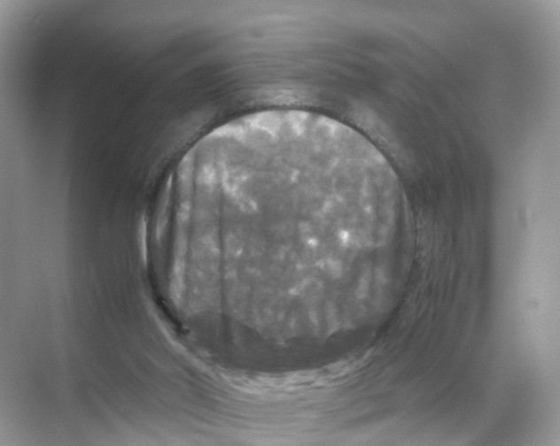 X0000070170014200606231933