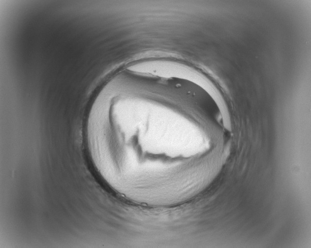 X0000070170015200606231933