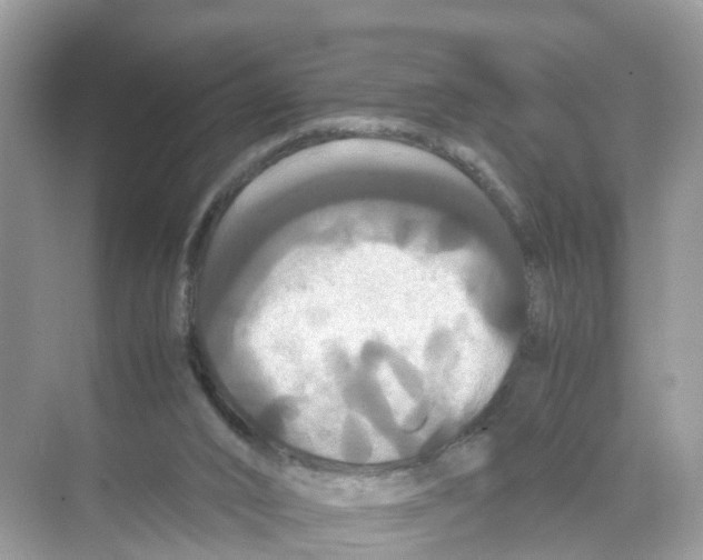 X0000070170016200606231933